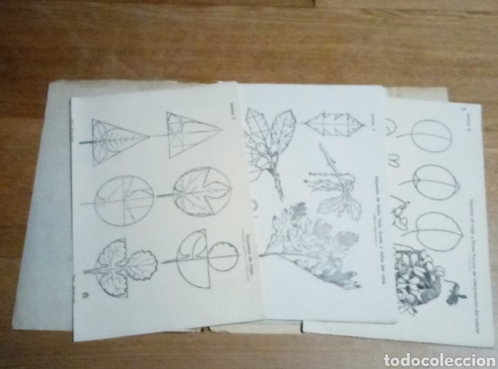 Arte: Gil de Vicario Dibujo segundo curso - Foto 3