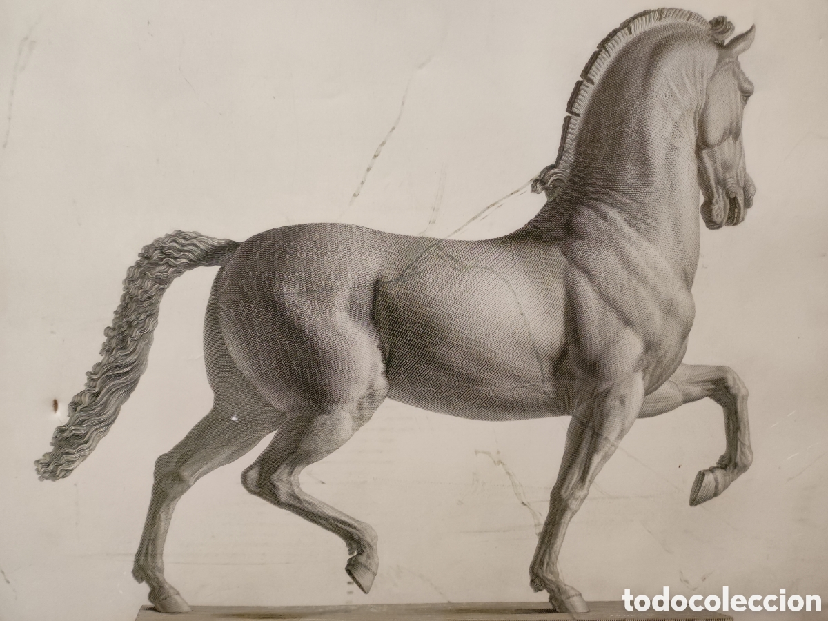 Arte: Estampa caballo - Foto 2