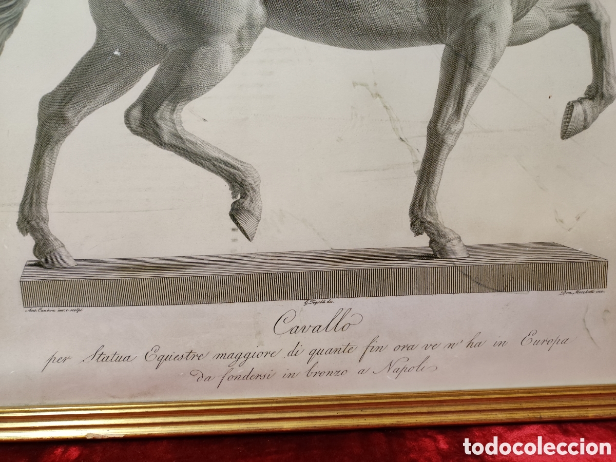 Arte: Estampa caballo - Foto 3