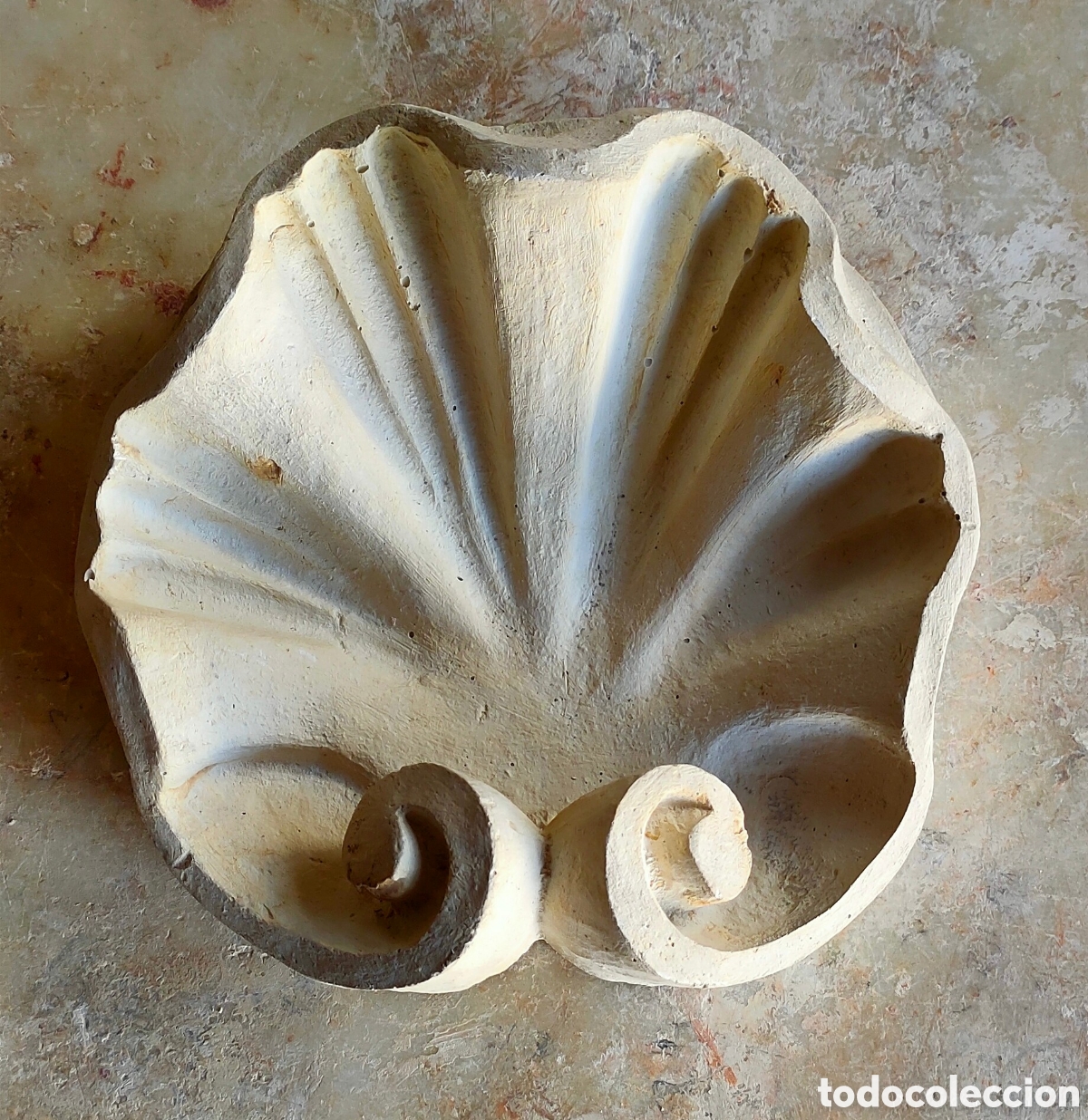 Arte: Concha de pasta-madera - Foto 1