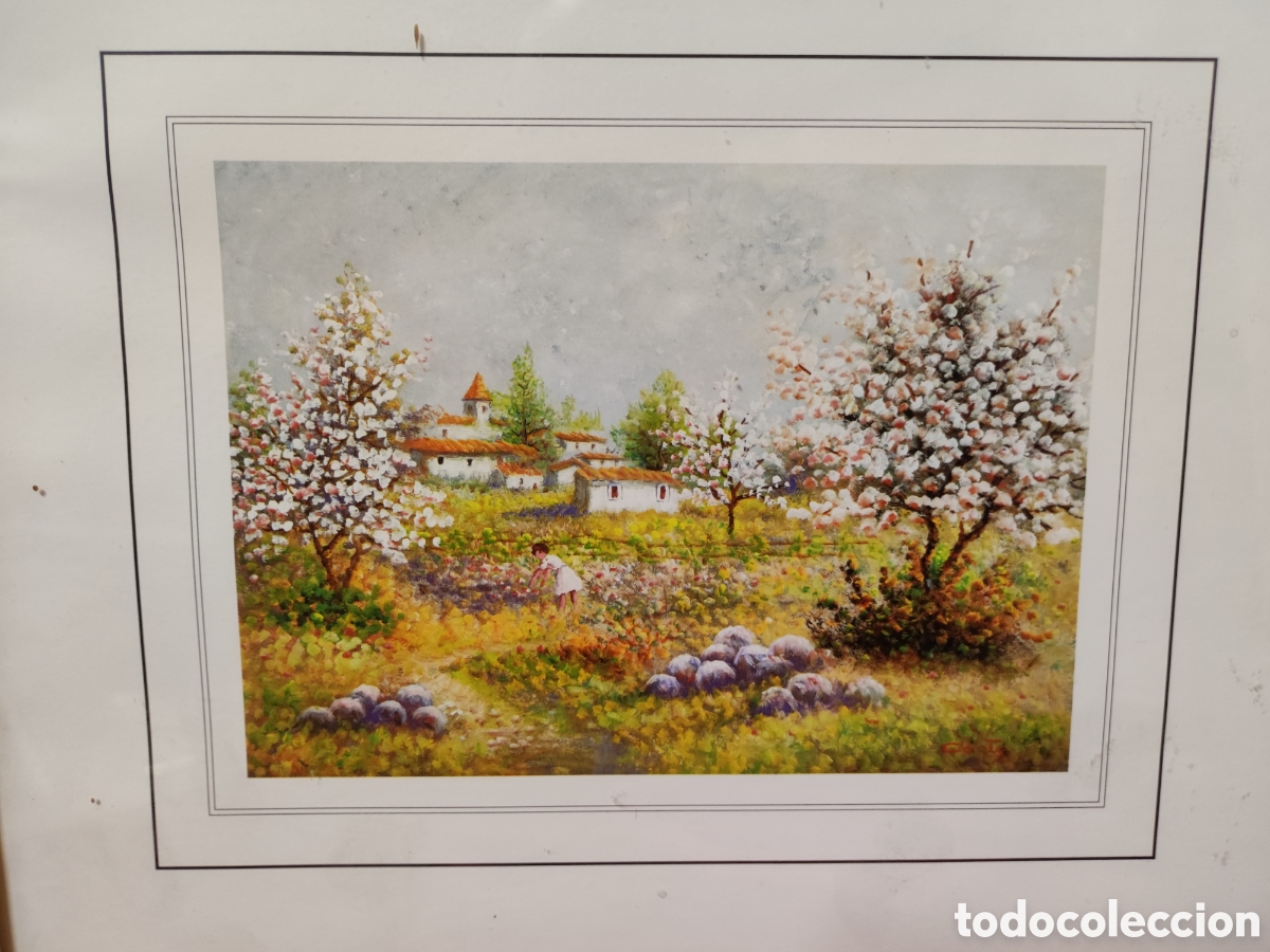 Arte: Lamina enmarcada - Foto 2