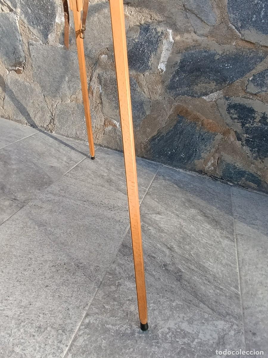 Arte: Caballete Mabef - Foto 14