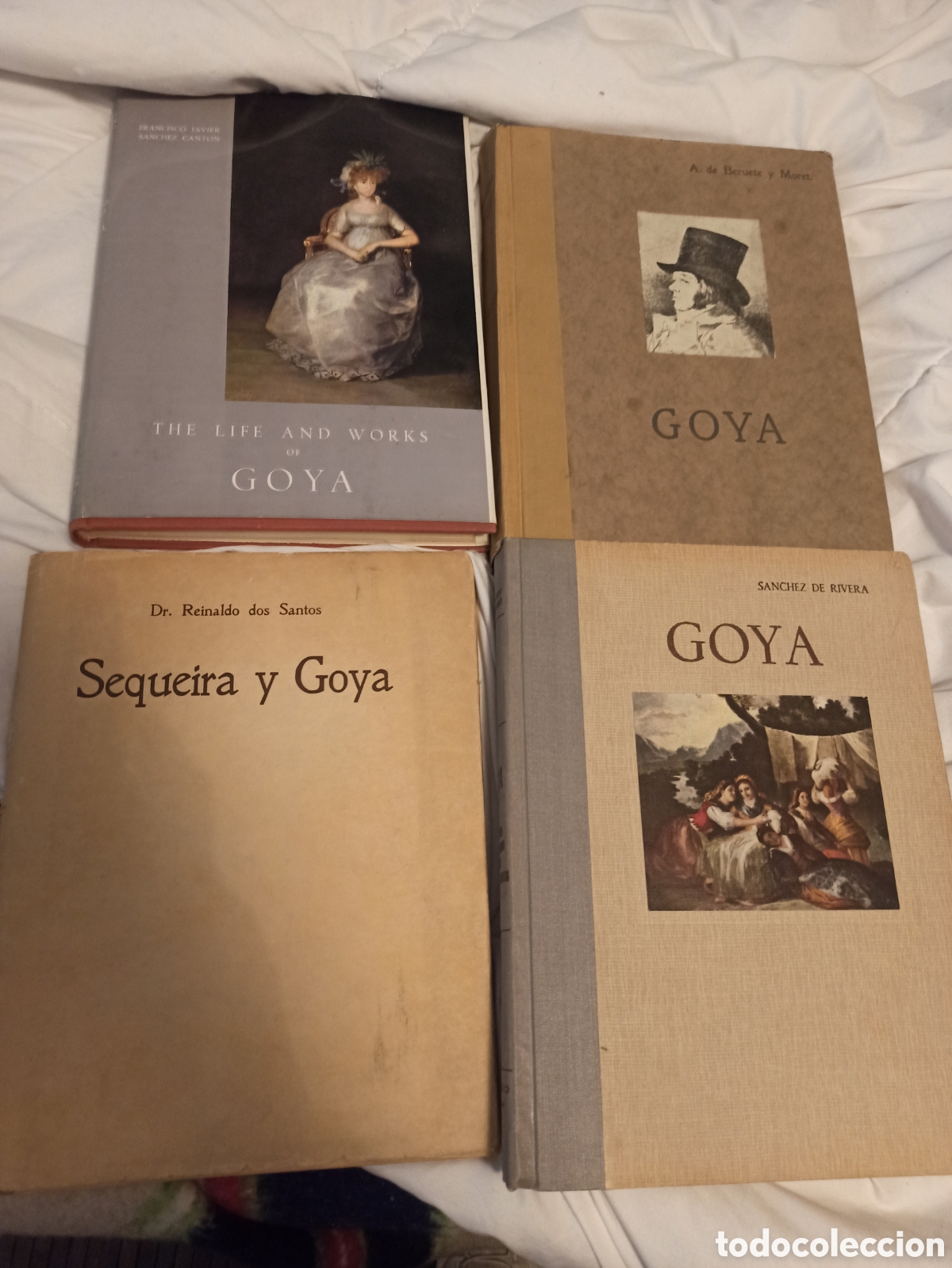 Arte: Libros de Goya. Varios