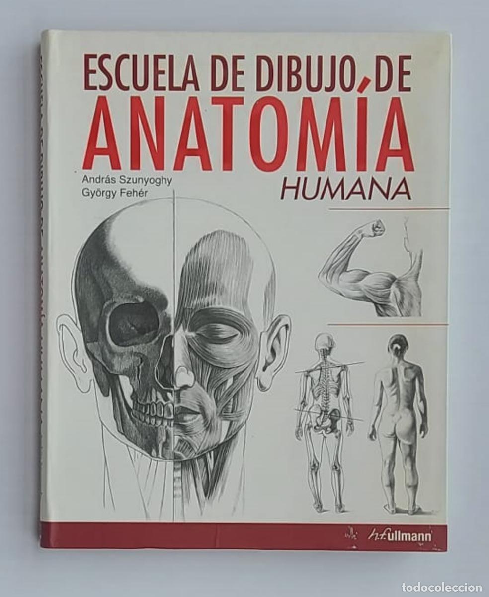 Arte: Escuela de dibujo de anatom&iacute;a humana, ilustraciones anat&oacute;micas, huesos y musculatura.