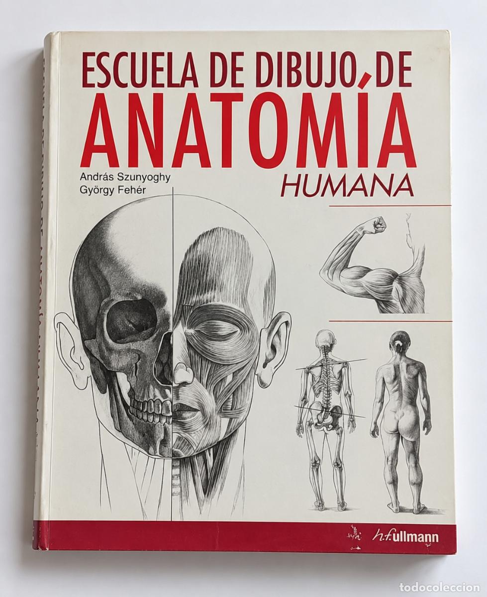 Arte: Escuela de dibujo de anatom&iacute;a humana, ilustraciones anat&oacute;micas, huesos y musculatura.
