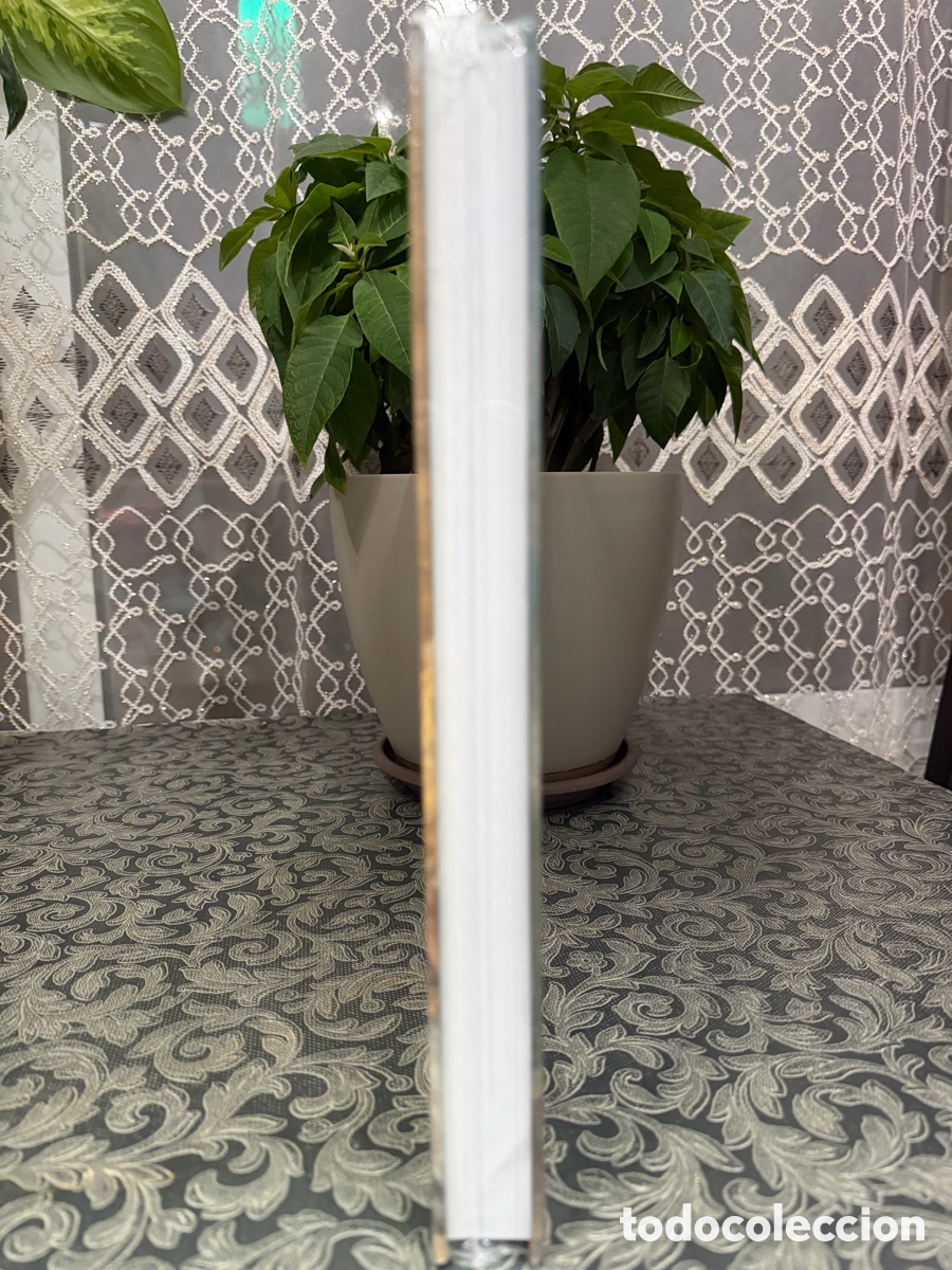 Arte: Libro La Sombra de Goya - Foto 4