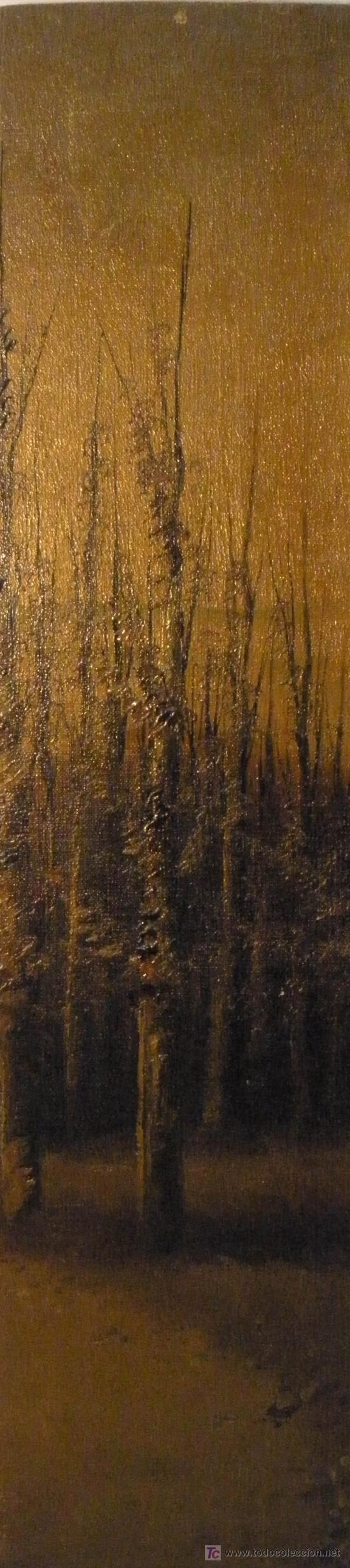 Arte: ARBOLEDA. OLEO S/LIENZO DEL XIX - Foto 4