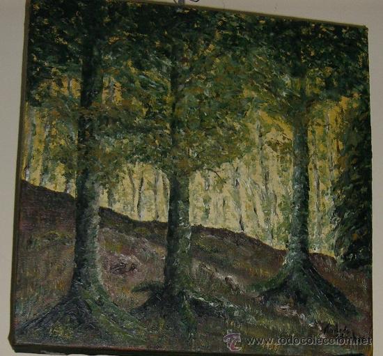 Arte: Contraluz en el bosque - Foto 1