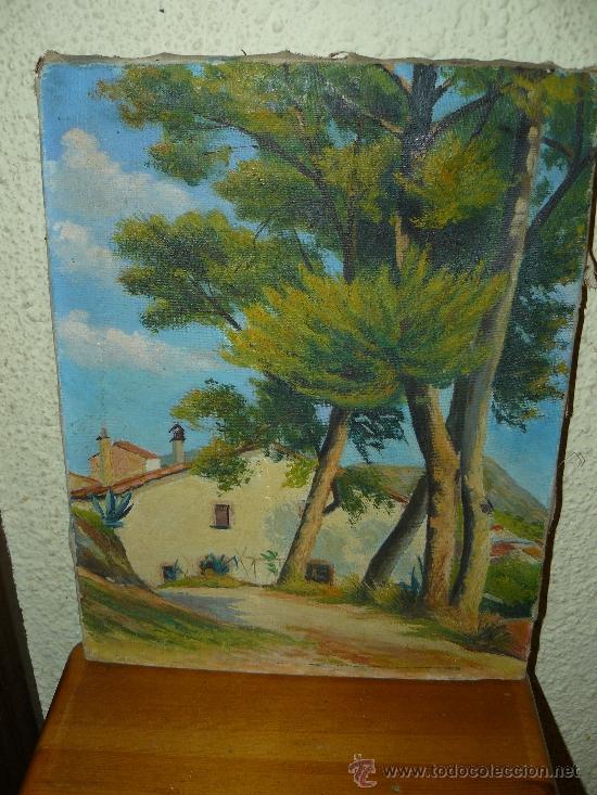 Arte: OLEO / TELA - AN&Oacute;NIMO - MAS&Iacute;A - Foto 1