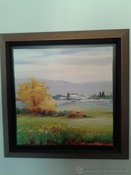 Arte: CUADRDO PASIAJE RURAL - Foto 1