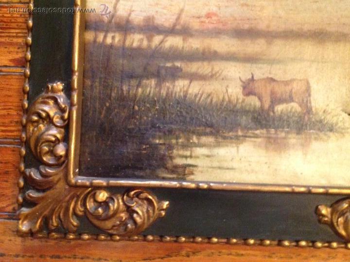 Arte: Oleo sobre lienzo vaca toro - Foto 2