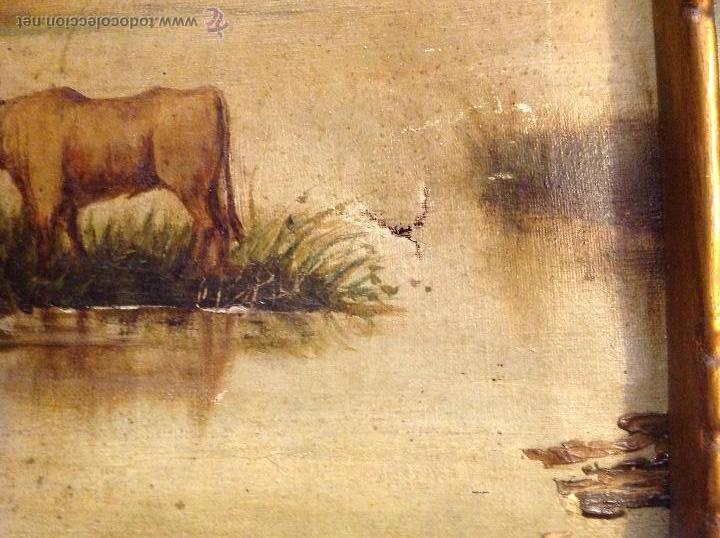 Arte: Oleo sobre lienzo vaca toro - Foto 3