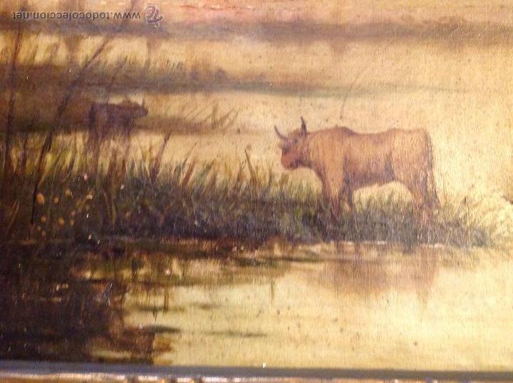 Arte: Oleo sobre lienzo vaca toro - Foto 8