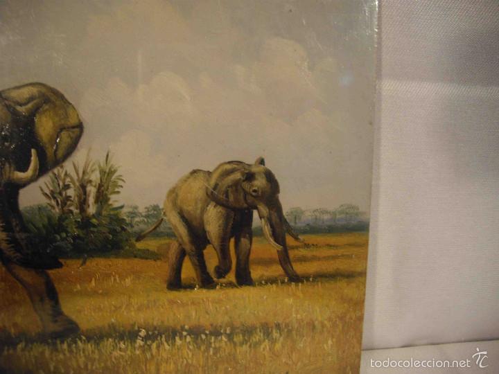 Arte: OLEO SOBRE TABLA DOS ELEFANTES - Foto 3