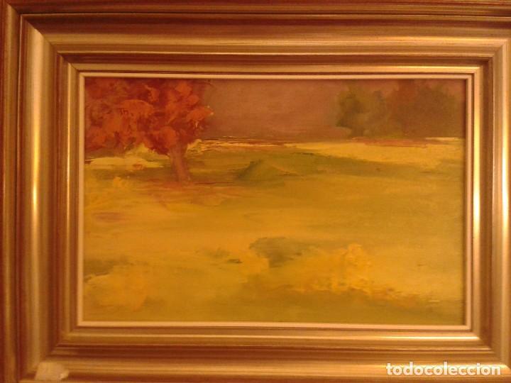 Arte: OFERTA DEL MES PAISAJE - Foto 1