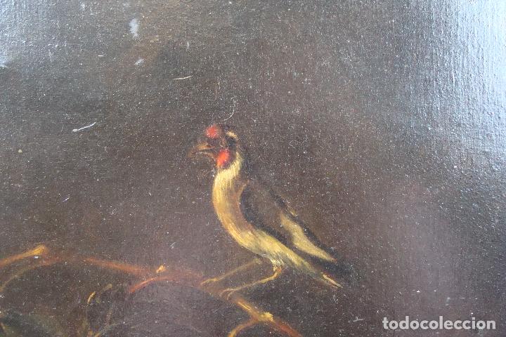 Arte: &Oacute;leo sobre lienzo Bodeg&oacute;n - Siglo XX - Foto 4
