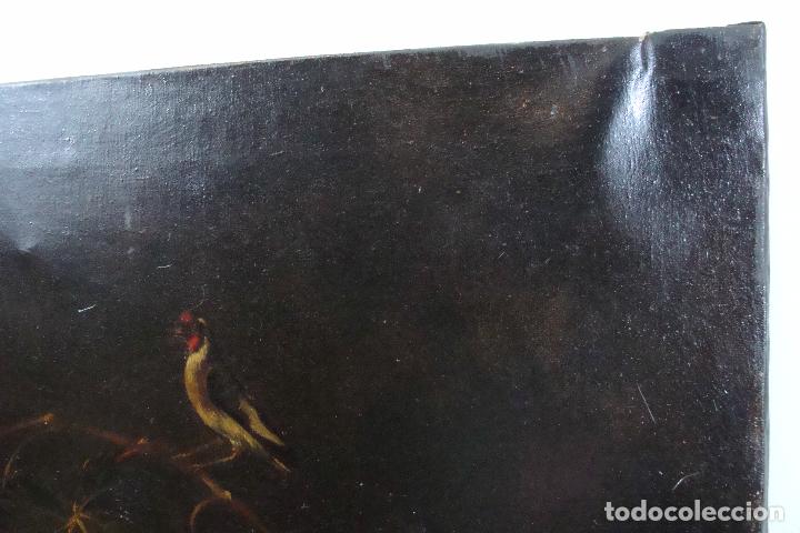 Arte: &Oacute;leo sobre lienzo Bodeg&oacute;n - Siglo XX - Foto 6