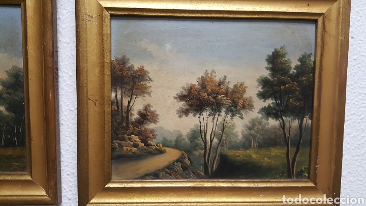 Arte: paisaje &oacute;leo sobre tablex - Foto 1
