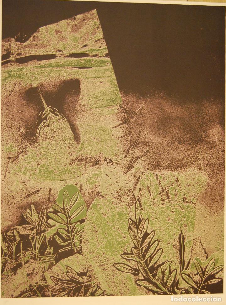 Arte: Litograf&iacute;a Joan tharrats - Foto 1