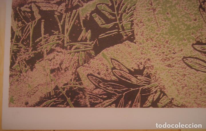 Arte: Litograf&iacute;a Joan tharrats - Foto 2