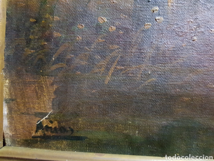 Arte: Paisaje de Arias - Foto 4