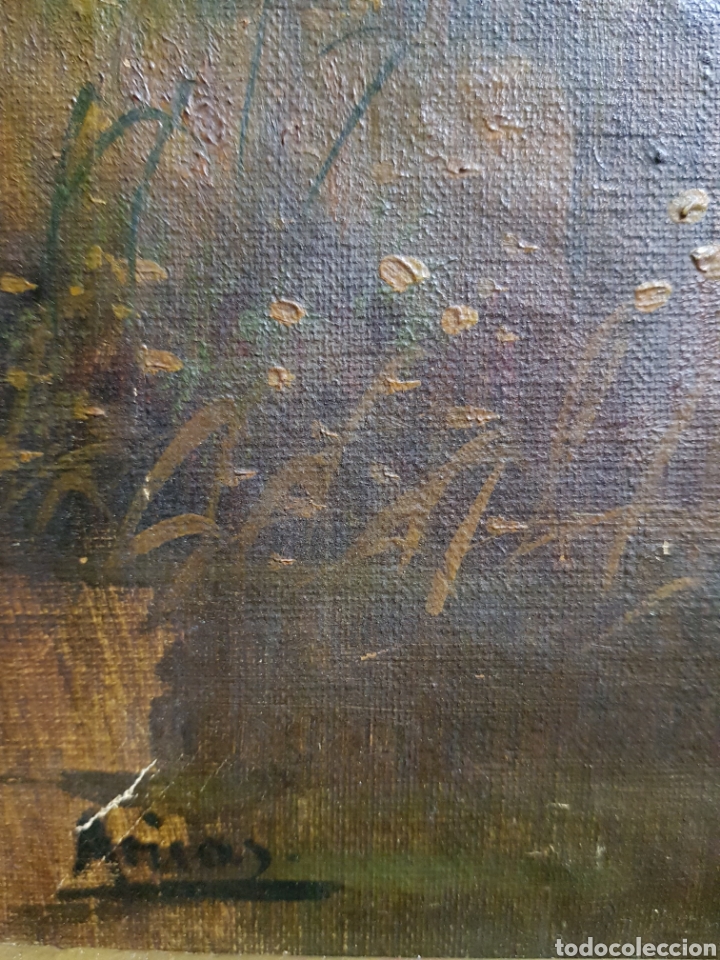 Arte: Paisaje de Arias - Foto 14