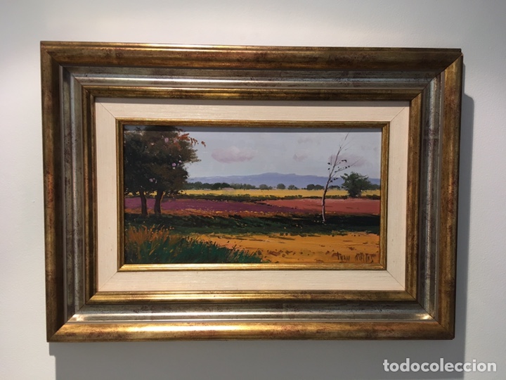 Arte: Oleo JUAN CASELLAS 29x16 - Foto 1