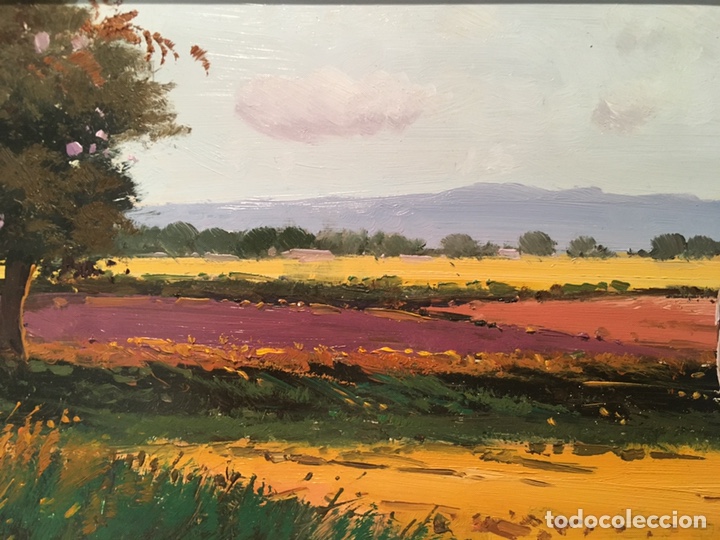 Arte: Oleo JUAN CASELLAS 29x16 - Foto 2