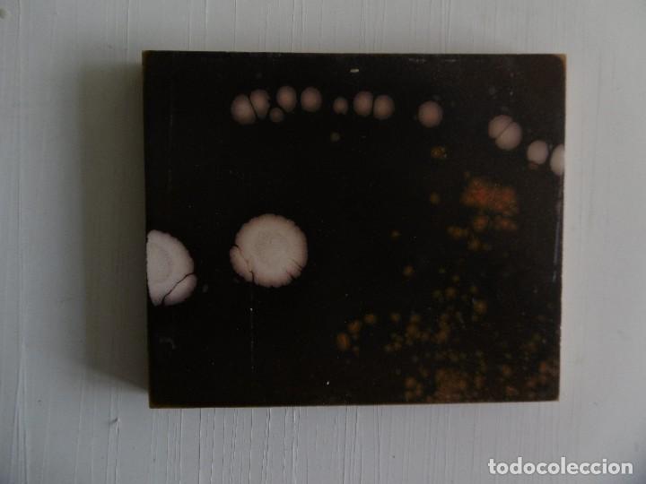 Arte: Astracto. Barnices sobre madera. - Foto 1