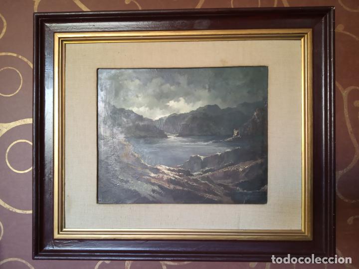 Interesante oleo sobre lienzo de lago o pantano entre montañas. Firmado Domin...