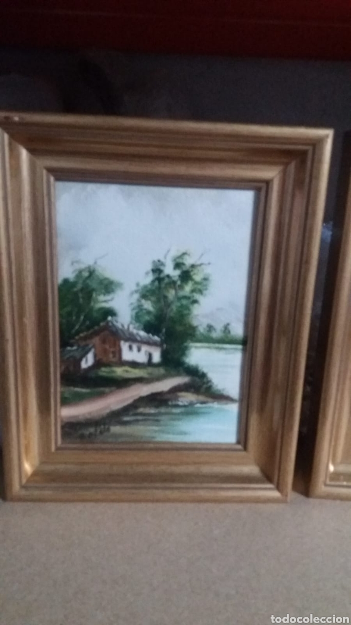 Arte: CUADROS PAISAJES - Foto 3