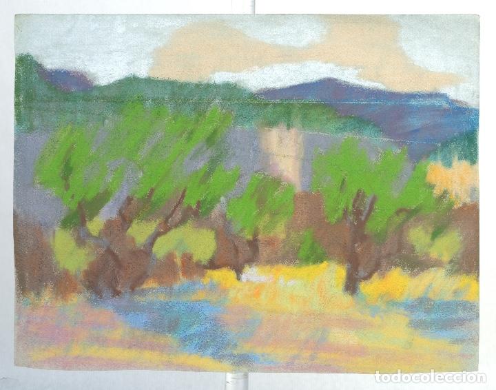 dibujo pastel sobre papel paisaje árboles siglo - Compra venta en  todocoleccion