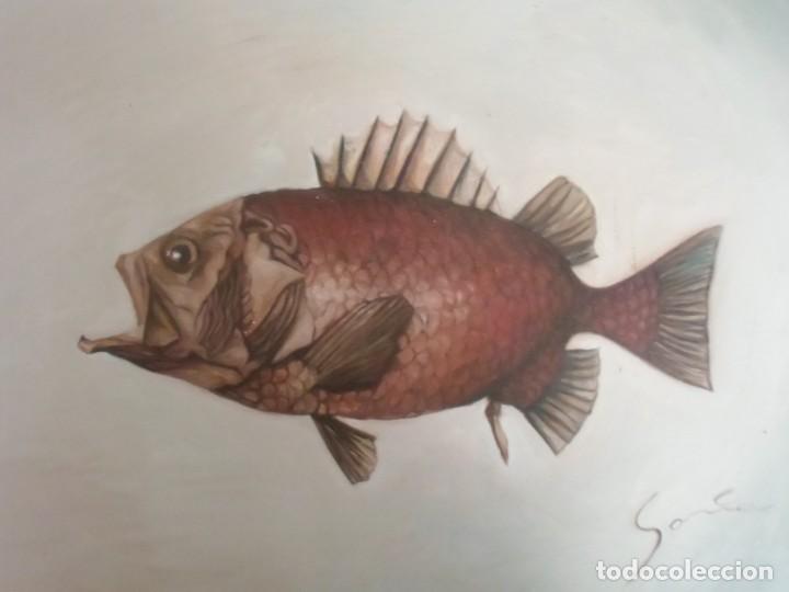 Arte: Peces. &Oacute;leo sobre tela aplicada a tabla. - Foto 3