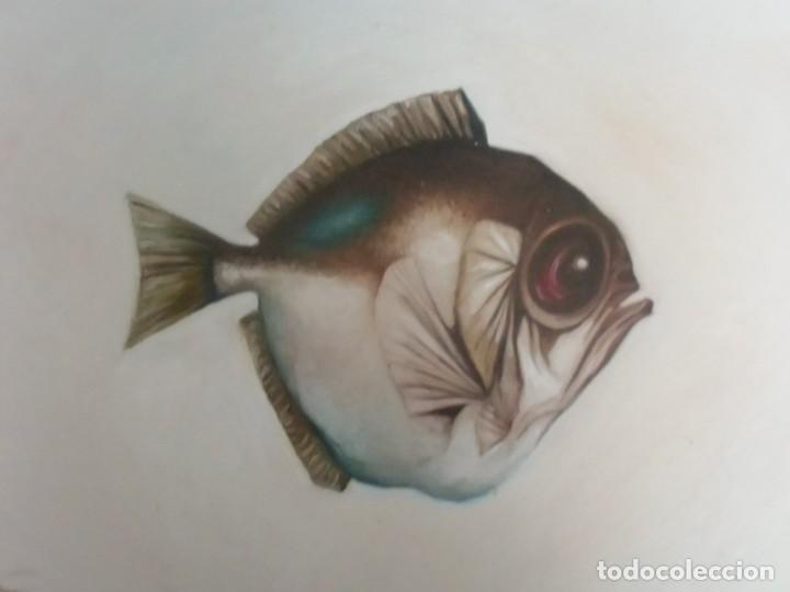 Arte: Peces. &Oacute;leo sobre tela aplicada a tabla. - Foto 5