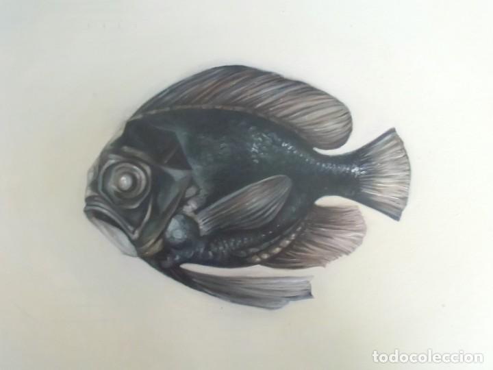 Arte: Peces. &Oacute;leo sobre tela aplicada a tabla. - Foto 1