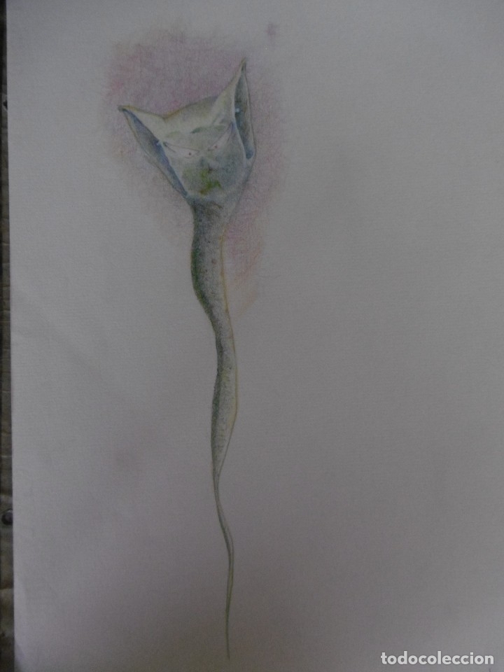 Arte: Dibujo. - Foto 1