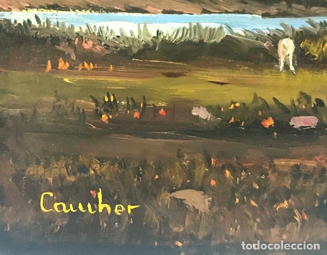 Arte: CAMHER - Foto 2