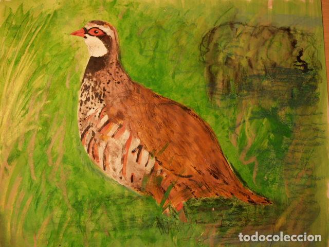 Arte: Perdiz roja campera - Foto 1