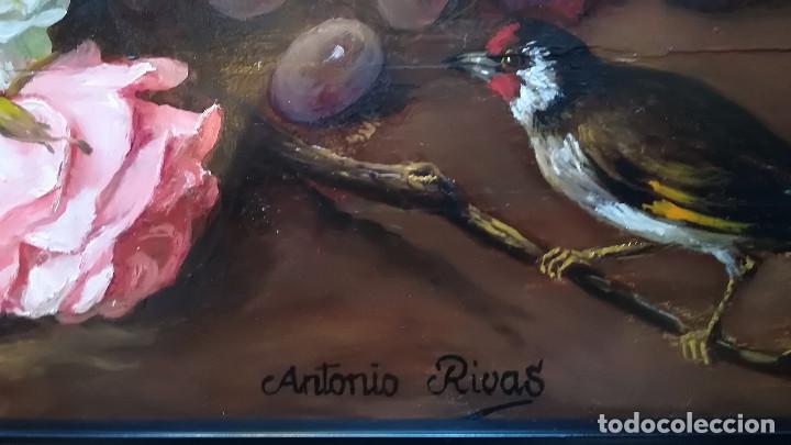 Arte: BODEG&Oacute;N FRUTAS Y FLORES ANTONIO RIVAS - Foto 4
