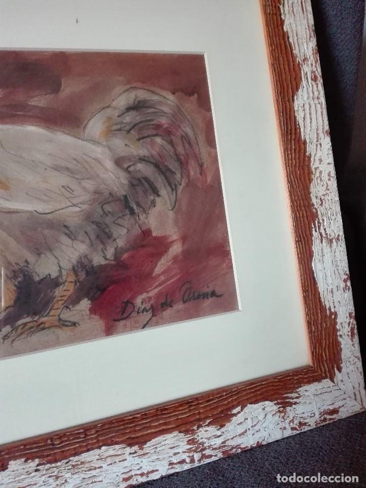 Arte: Gallo - Foto 5
