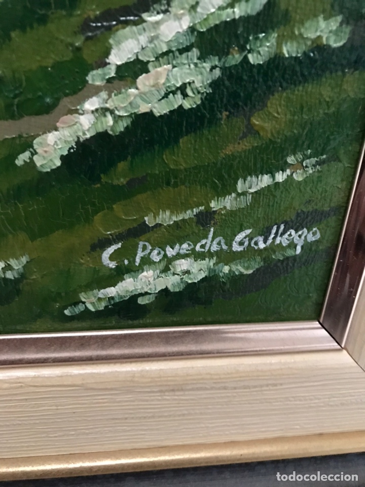 Arte: &Oacute;LEO SOBRE LIENZO - Foto 3