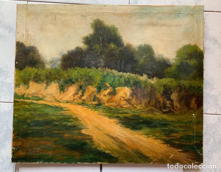 Arte: MANUEL PIGEM * PAISAJE