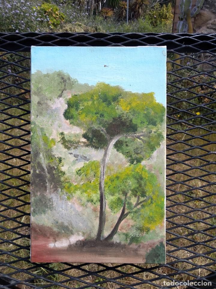 Arte: cuadro pino - Foto 3