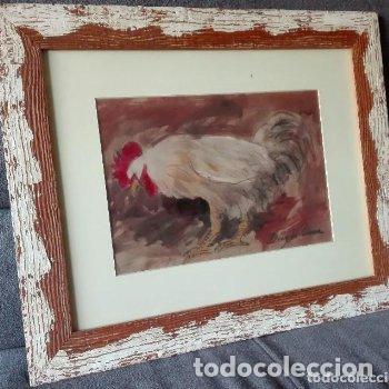 Arte: Gallo - Foto 12