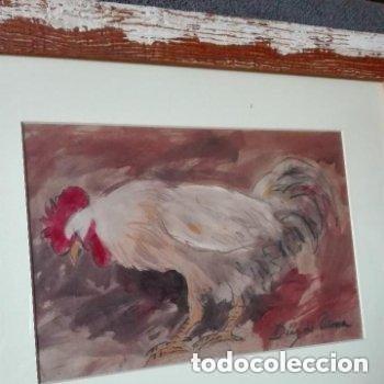 Arte: Gallo - Foto 18