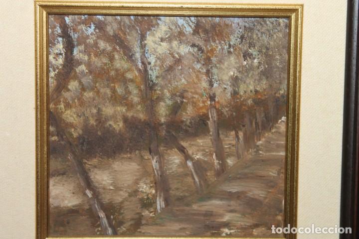 Arte: CUADRO, BOSQUE, LIENZO SOBRE TABLA, SIN FIRMA - Foto 2