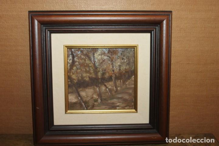 Arte: CUADRO, BOSQUE, LIENZO SOBRE TABLA, SIN FIRMA - Foto 1