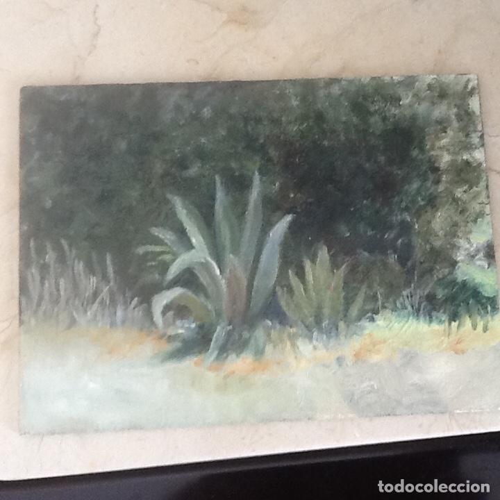 Arte: cuadro &oacute;leo 22x16 - Foto 1