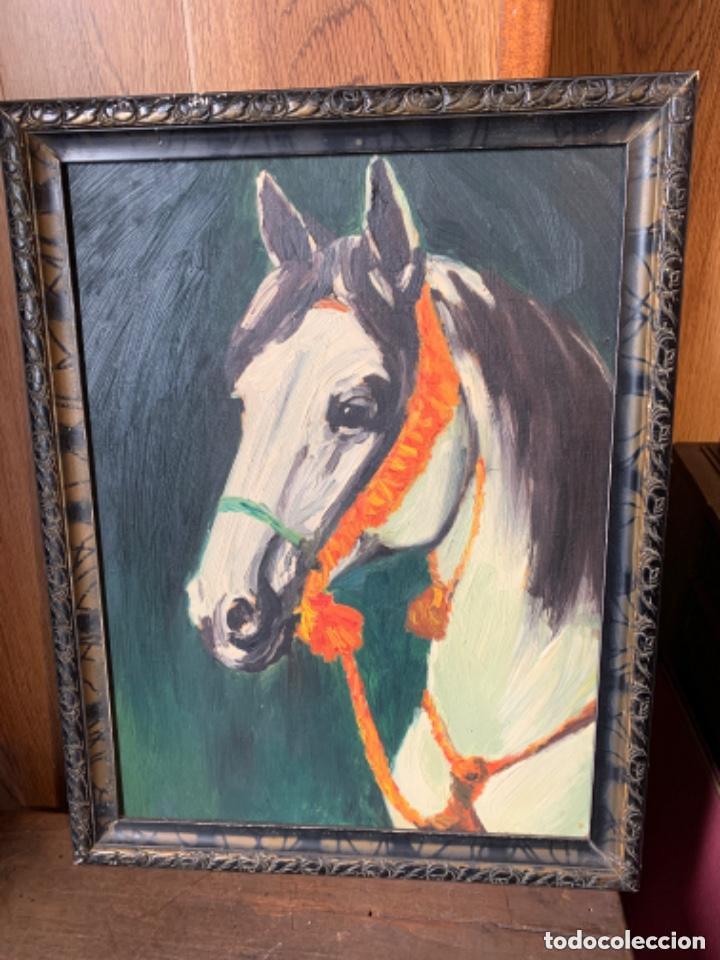 Arte: &Oacute;leo sobre tabla de cabeza de caballo blanco - Foto 1