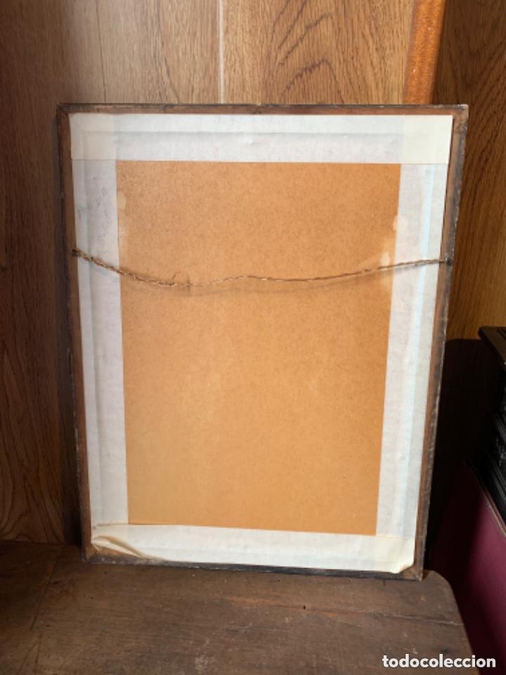 Arte: &Oacute;leo sobre tabla de cabeza de caballo blanco - Foto 5